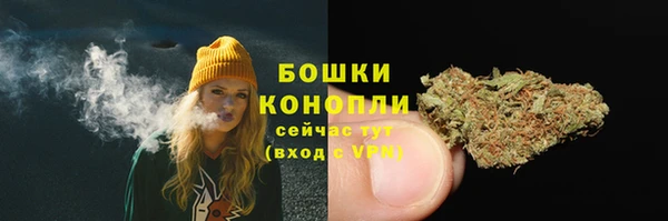 мяу мяу мука Ельня