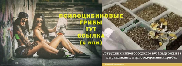 марки lsd Елабуга
