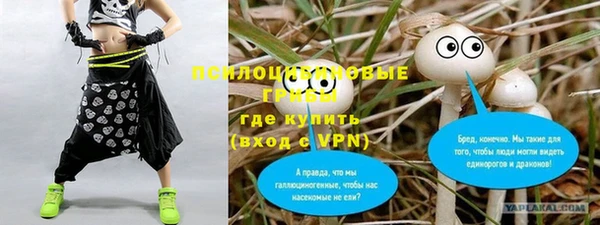 соль курить ск Елизово