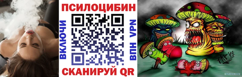 Псилоцибиновые грибы Psilocybe  Купить закладки  Киреевск 